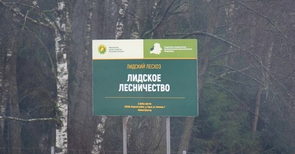 Лесхозы будут реализовывать гражданам древесину для строительства и ремонта по сниженной стоимости