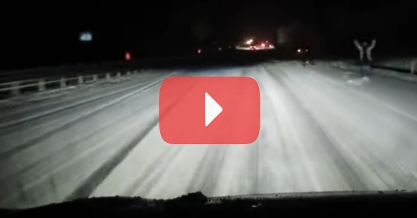 На трассе М6 упало дерево. Сообщается, что как минимум шесть автомобилей попали в ДТП