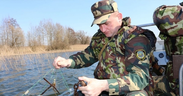 В Лидском районе поймали двух браконьеров. Ущерб природе оценён в 8800 руб. Им грозит ограничение или лишение свободы