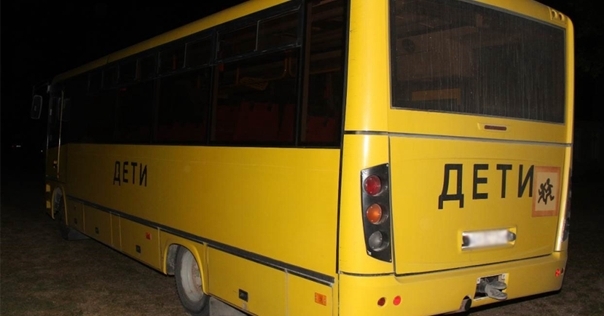 В Дятлово пьяный местный житель избил школьный автобус