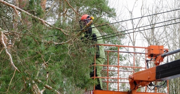 Сотрудники и техника РУП «Лидские электрические сети» участвуют в наладке электроснабжения после «непогоды» в регионе