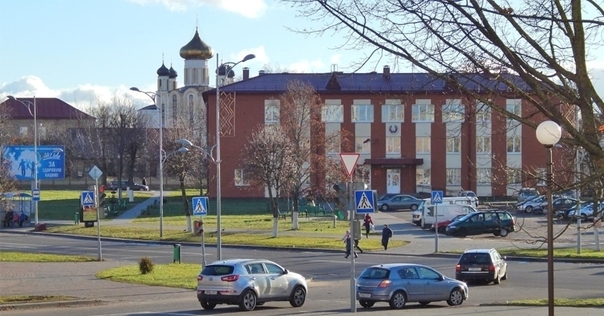 В МНС рассказали, в каких случаях нужно платить налог за сбор ягод и грибов в лесу