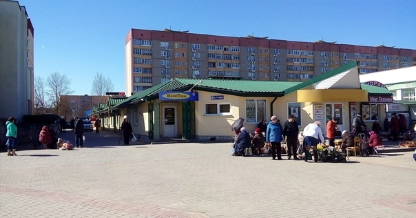 В райисполкоме рассказали о местах и условиях торговли цветами к 8 марта