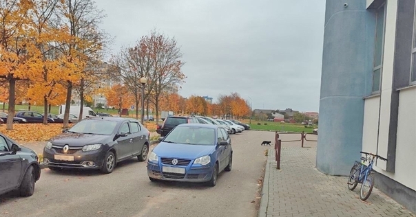 В Лиде 10-летний мальчик на велосипеде попал под колёса Volkswagen