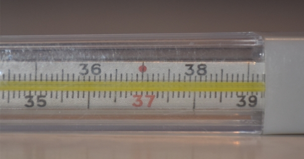 Коронавирус не «всё». Отмечается рост заболеваемости в регионе и в стране