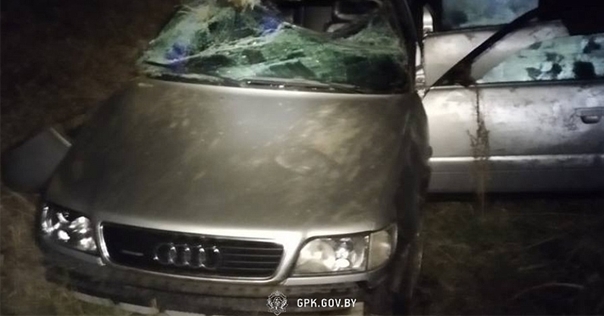 В приграничной зоне водитель на Audi удирал от лидских пограничников и попал в ДТП. В багажнике обнаружили квадрокоптер