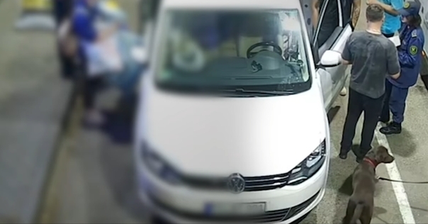 Гражданин Казахстана пытался ввезти из Литвы марихуану в носке