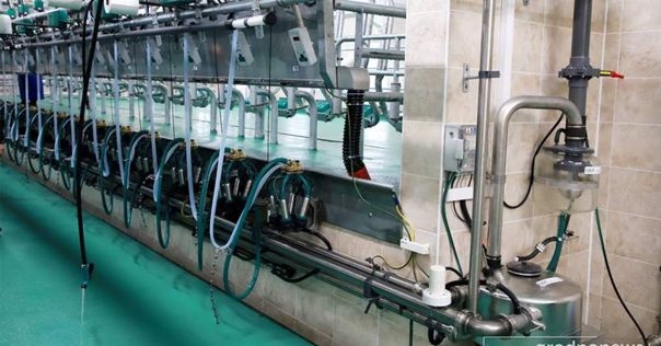 Новую молочно-товарную ферму ввели в эксплуатацию в Вороновском районе