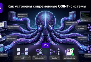 Как через Nox пробить номер тг?